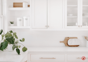 Cockroach free Clean Kitchen