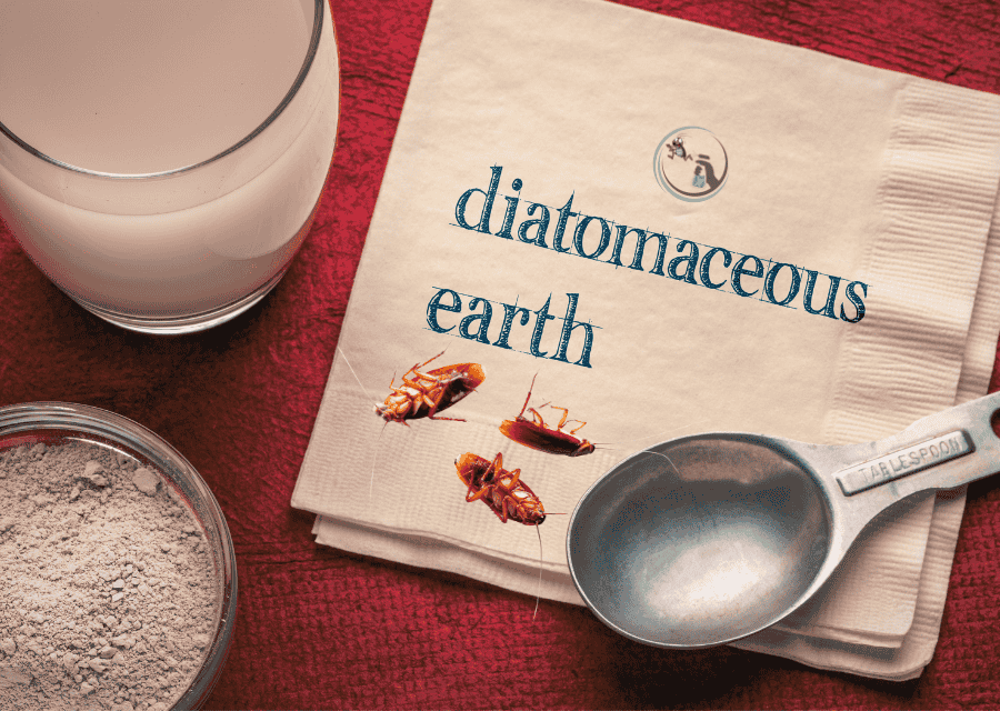 Diatomaceous Earth Kill Cockroaches